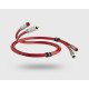 QED Reference Audio 40 2RCA - 2RCA
